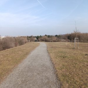Lunch Walk