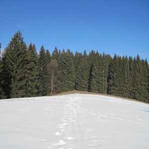 Morávka - Bebek