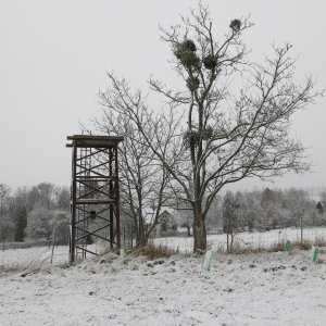 Žukov - Horní Tošanovice (KH)