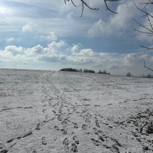 NJ P KOTOUČ BH Kopr