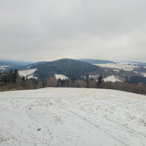 Hartmanice