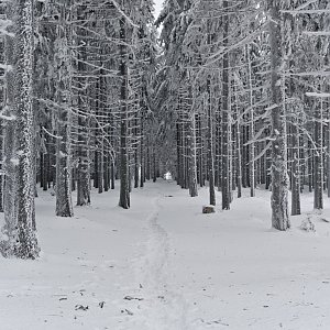 Moravskoslezské Beskydy