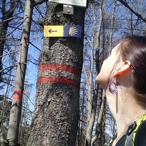 Moravskoslezské Beskydy