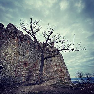 Pavlovské vrchy