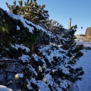 Moravskoslezské Beskydy