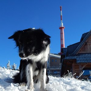 Moravskoslezské Beskydy