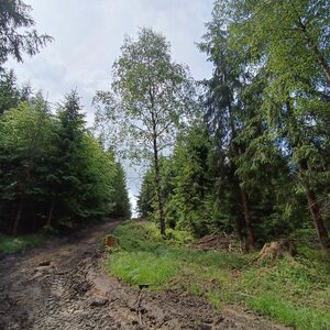 Moravskoslezské Beskydy
