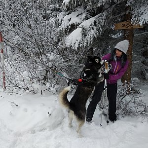 Moravskoslezské Beskydy