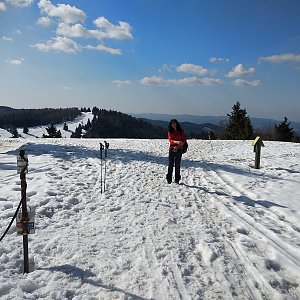 Javorníky