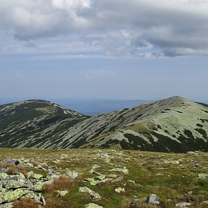 Tarcu