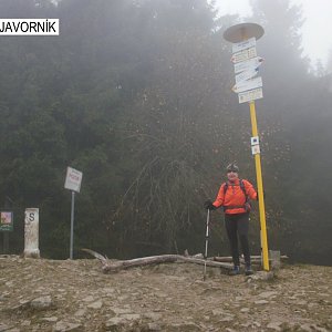 Javorníky