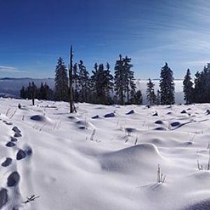 Lunch Hike