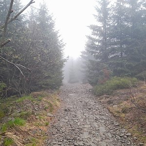 Moravskoslezské Beskydy