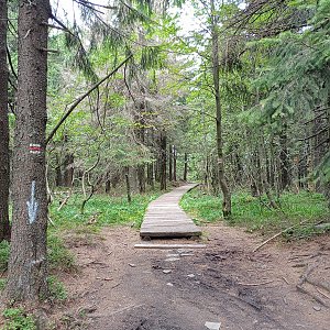 Moravskoslezské Beskydy