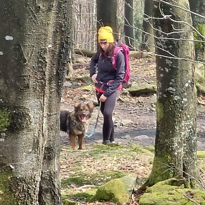 Hostýnsko-vsetínská hornatina
