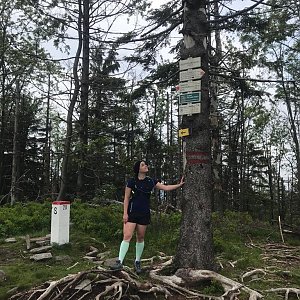Moravskoslezské Beskydy
