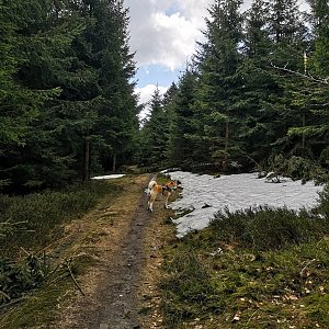 Moravskoslezské Beskydy