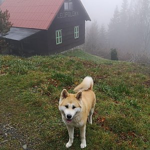 Moravskoslezské Beskydy