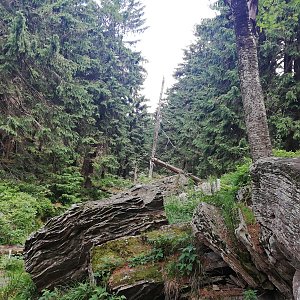 Moravskoslezské Beskydy