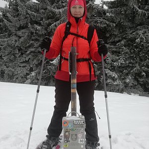 Javorníky