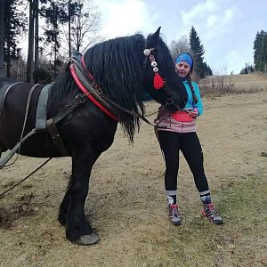 Moravskoslezské Beskydy