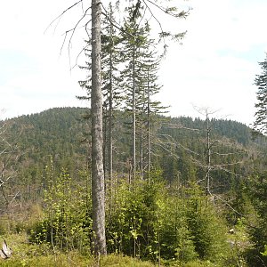 Moravskoslezské Beskydy