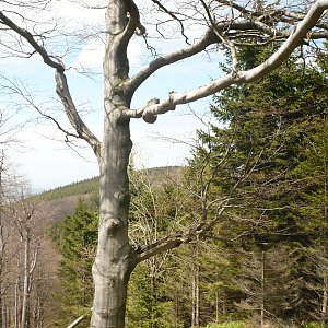 Moravskoslezské Beskydy