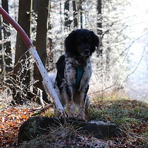Moravskoslezské Beskydy