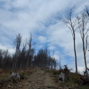 Podbeskydská pahorkatina