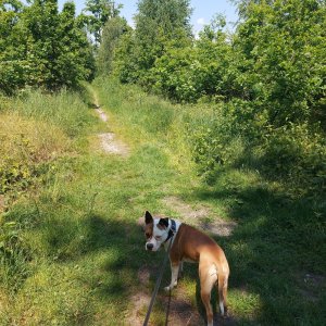 Podbeskydská pahorkatina