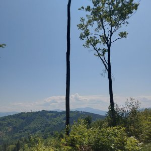 Podbeskydská pahorkatina