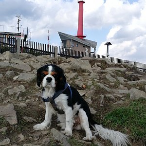 Moravskoslezské Beskydy