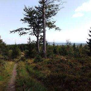 Moravskoslezské Beskydy