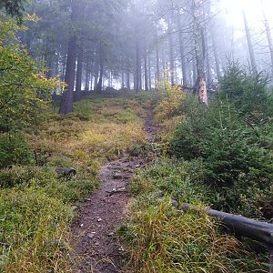 Moravskoslezské Beskydy