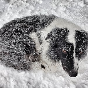 Skialp na Bufáč