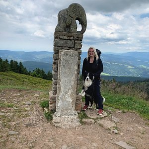 Králický Sněžník