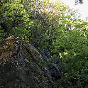 Křivoklátská vrchovina