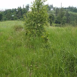 Podbeskydská pahorkatina