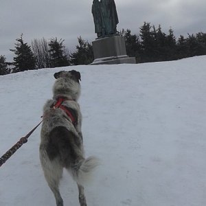 Moravskoslezské Beskydy