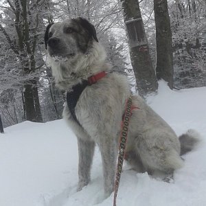 Moravskoslezské Beskydy