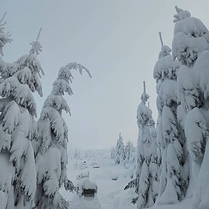 Lysá hora