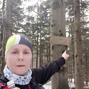 Moravskoslezské Beskydy