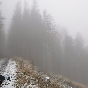 Moravskoslezské Beskydy