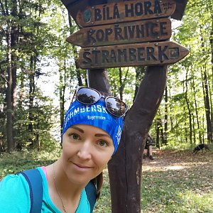 Podbeskydská pahorkatina