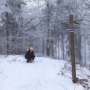 Oravské Beskydy