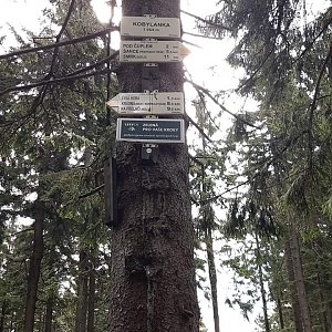 Moravskoslezské Beskydy