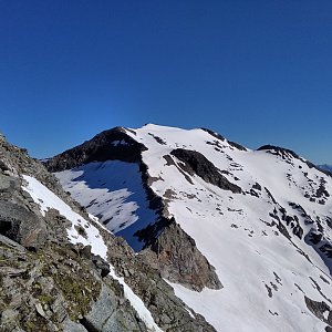 Goldberggruppe