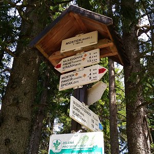 Šumava