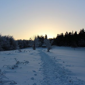 Afternoon Hike