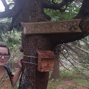 Moravskoslezské Beskydy